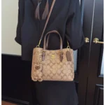 Parisian Style Fashionable and Minimalist Women's Crossbody Bag, Featuring Design - Image 6