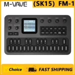 M-VAVE（SK15）FM-1 Synthesizer, Portable Handheld Sound Source