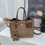 Parisian Style Fashionable and Minimalist Women's Crossbody Bag, Featuring Design