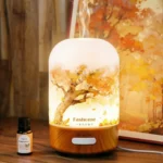 Essential Oil Diffuser Mini Aromatherapy Air Humidifier With 10ml Essential Oil, Hand Blown Glass Cover