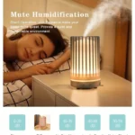 Air Humidifier Aromatherapy Machine Bird Cage Ultrasonic USB Humidifier - Image 3