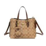 Parisian Style Fashionable and Minimalist Women's Crossbody Bag, Featuring Design - Image 4