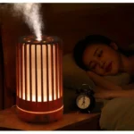 Air Humidifier Aromatherapy Machine Bird Cage Ultrasonic USB Humidifier