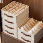 20/6/7Grids Cation PP Sock Bra Pants Simplicity Organizers Of Cabinets - Image 2