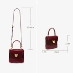 BAFELLI HANDBAG 2026 WOMEN'S NEW LEATHER PURSE EVENING DESIGNER BUCKET - Image 5