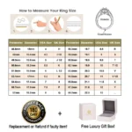 Newshe Original 925 Silver Moissanite Rings GRA Certified D Color VVS1 Diamond - Image 6